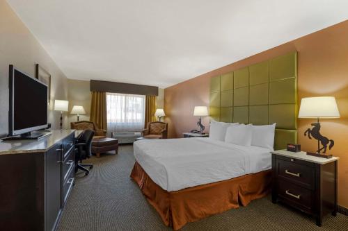 道奇城乡村贝斯特韦斯特PLUS套房酒店的配有一张床和一台平面电视的酒店客房