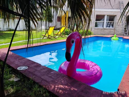 奥利沃斯hostel olivos的游泳池里的粉色天鹅