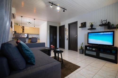萨拉米斯Oceanus Summer House的带沙发和平面电视的客厅