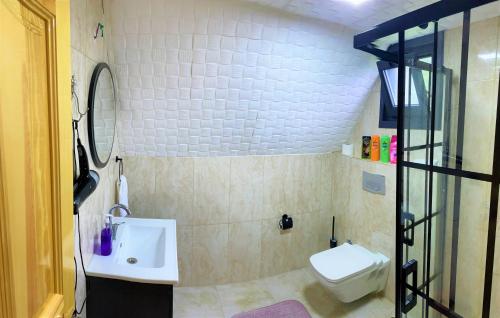 Ardeşenİnziva Bungalow1的一间带水槽和卫生间的浴室