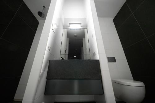 博克斯特尔Bed & Wellness Boxtel, 4 persoonskamer met eigen badkamer的一间带水槽、卫生间和镜子的浴室