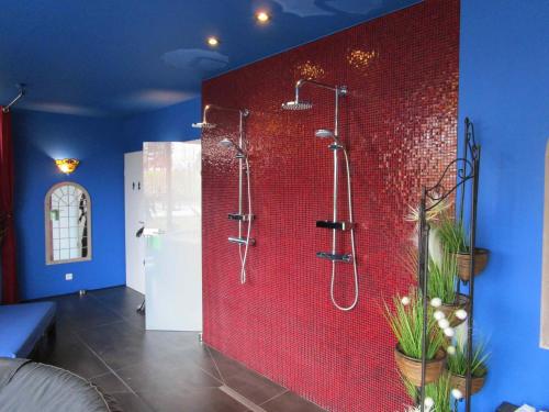 萨尔特-雷斯温泉Le Relais des Fagnes的一间带淋浴的浴室,铺有红色的瓷砖墙