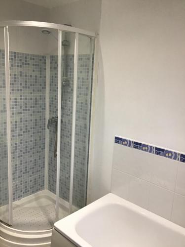 莫顿Dovedale Apartment的带淋浴和卫生间的白色浴室