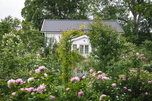 恩雪平Vallby Cottage的白色房子前方的花朵粉红色