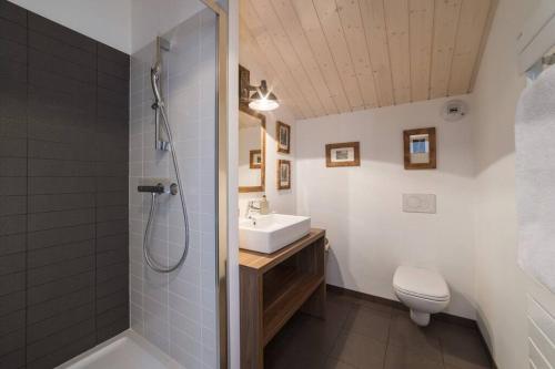 圣热尔韦莱班L'ivresse du Mont-Blanc的带淋浴、盥洗盆和卫生间的浴室