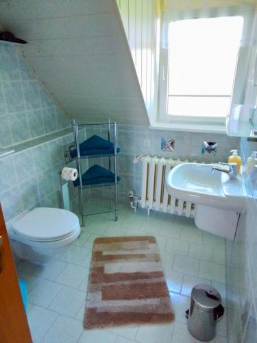 普特布斯Haus im Wind的浴室配有盥洗盆、卫生间和盥洗盆。