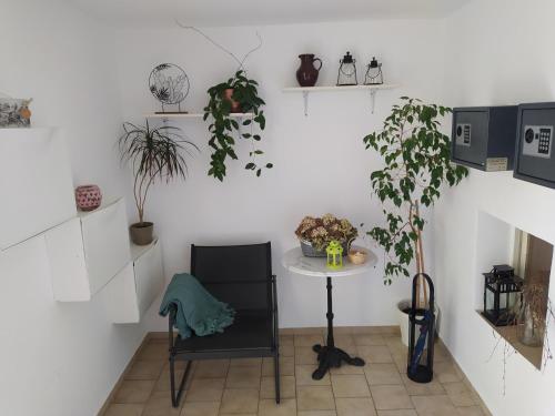 特热邦Ubytování Pohoda的一间设有桌子和植物桌子的房间