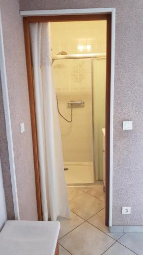 圣埃尔布兰Chambre et sdb privées avec accès indépendant et autonome的门上设有带淋浴的浴室,享有风景。