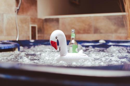 宾茨Hotel Villa Schwanebeck的游泳池里的塑料天鹅和一瓶