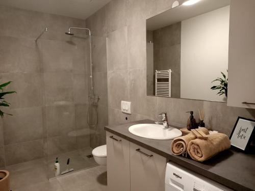 雷克雅未克Puffin Nest, Superior Apartment的一间带水槽、卫生间和镜子的浴室