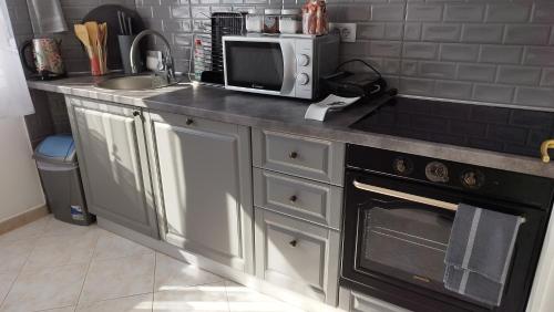 里耶卡Apolonija的厨房配有带微波炉和炉灶的台面