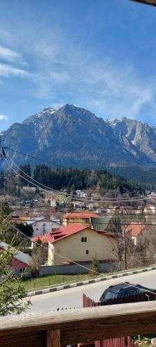 布什泰尼Mountain View的享有以山脉为背景的小镇美景。