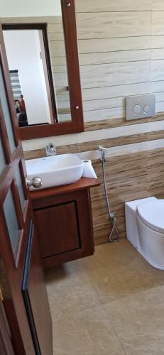 阿鲁特伽马Villa 65的一间带水槽、卫生间和镜子的浴室