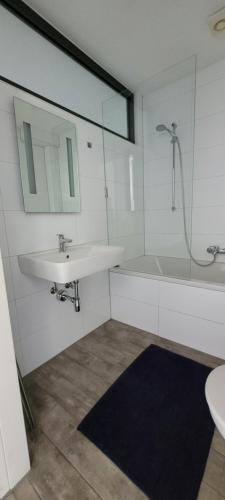 海因斯贝格Ferienwohnung Casa Di Lago的一间带水槽、镜子和淋浴的浴室