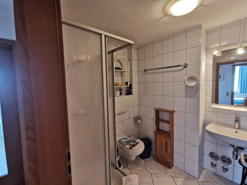 卡罗利嫩西尔Yachthus的带淋浴、卫生间和盥洗盆的浴室