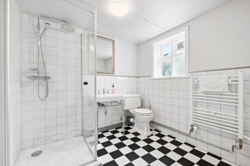 雷克雅未克乐法维格宝德斯巴旅馆的白色的浴室设有卫生间和淋浴。