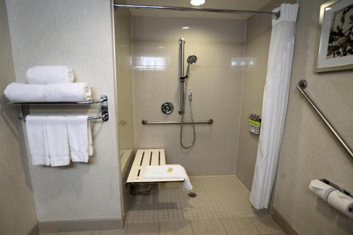 渥太华渥太华东奥尔良智选假日套房酒店的带淋浴、卫生间和毛巾的浴室