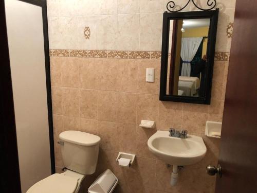 瓦哈卡市Suite Antequera en mexico的一间带卫生间、水槽和镜子的浴室
