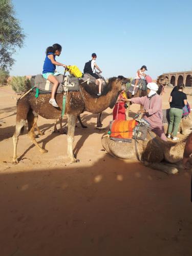 梅尔祖卡Chez Meriem的一群骑在骆驼背上的人们