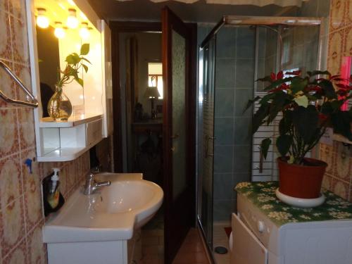 圣朱利亚诺-泰尔梅梅森德朵拉酒店的一间带水槽和盆栽植物的浴室