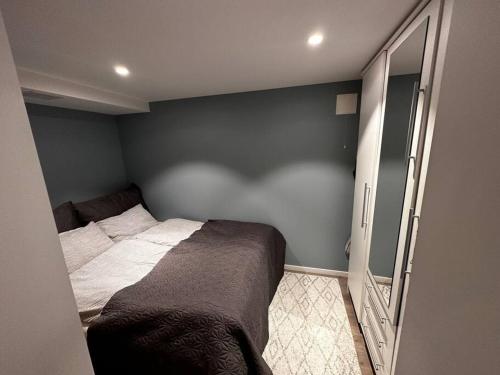 奥勒松Basement apartment with parking的一间小卧室,配有一张床和镜子