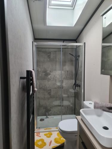 库伯特Mawgan Pads Perranporth的带淋浴、卫生间和盥洗盆的浴室