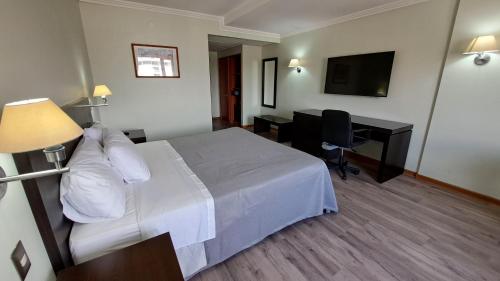 科皮亚波科皮亚波迭戈阿尔马格罗酒店的酒店客房配有一张床、一张书桌和一台电视。