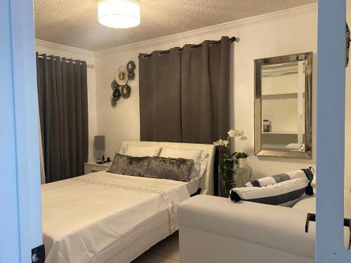 迈阿密Beautiful House 7 min from Miami Airport w FREE parking的一间卧室配有一张床、镜子和椅子