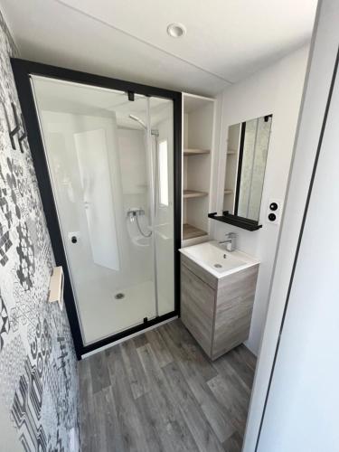 圣拉斐尔Mobile home grand confort 3 chambres neuf的带淋浴、盥洗盆和镜子的浴室