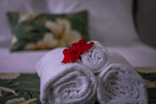 南迪Yaubula Accommodation的两条毛巾,上面有红花