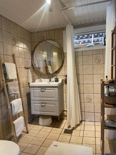 斯文堡Cozy Nature House的一间带水槽和镜子的浴室