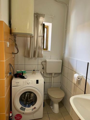 斯雷姆斯基卡尔洛夫奇Sremski Karlovci Center Homestay的一间带洗衣机和卫生间的小浴室