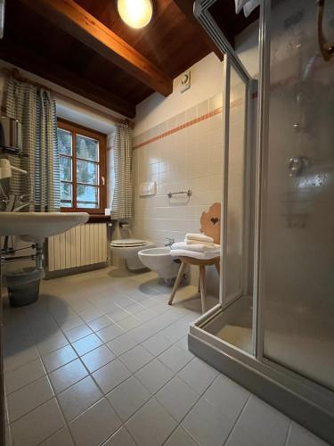 科尔蒂纳丹佩佐Rifugio Malga Ra Stua的带淋浴、盥洗盆和卫生间的浴室