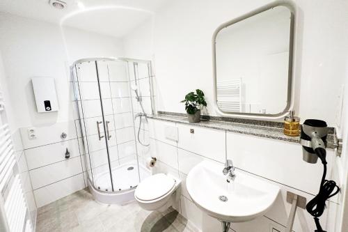 门兴格拉德巴赫Modernes City-Apartment in Mönchengladbach的一间带水槽、卫生间和镜子的浴室