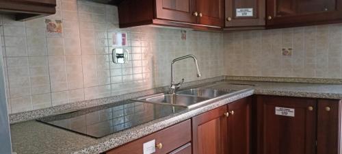 皮内罗洛Casa Caty的厨房配有不锈钢盥洗盆和木柜