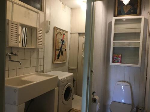 阿灵厄Danchelshus的一间带水槽和洗衣机的浴室
