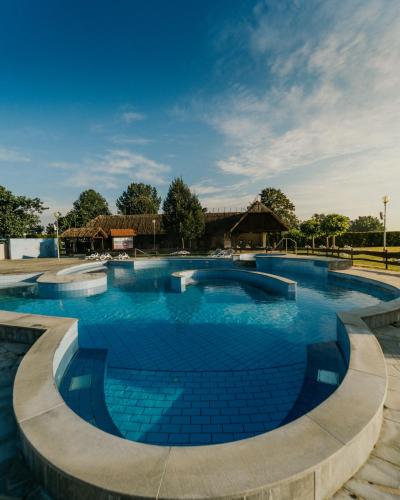巴诺夫茨Terme Banovci - Hotelsko naselje Zeleni gaj的蓝色海水大型游泳池