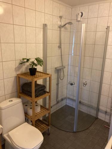 乌普萨拉Fint boende i vackra Marielund的带淋浴和卫生间的浴室