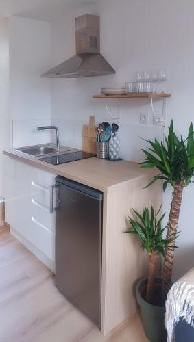 梅里尼亚克Charmant T1 meublé的厨房设有水槽和2个植物台面