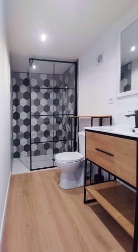梅里尼亚克Charmant T1 meublé的一间带卫生间和玻璃淋浴间的浴室
