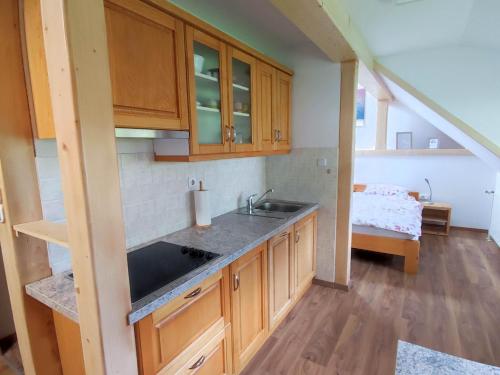 博希尼Apartmaji Mojca的厨房配有木制橱柜、水槽和床。