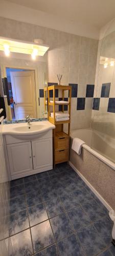 贝格海姆Le Petit Nid的浴室配有水槽、淋浴和浴缸。
