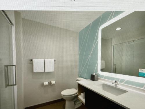 沃伦avid hotels - Detroit - Warren, an IHG Hotel的一间带水槽、卫生间和镜子的浴室