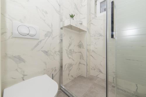 格拉达茨Apartments Mirna Center & Beach的浴室设有玻璃淋浴间和卫生间