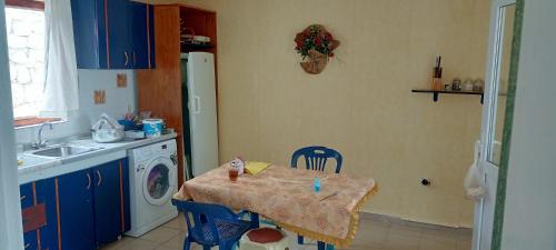 达拉曼ESKA 121 airport的厨房配有桌子和洗衣机。