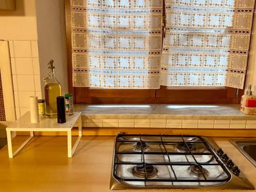 比萨Artemisia的厨房配有炉灶和窗户