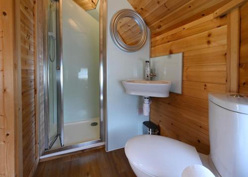 威廉堡Leven View Lodges - Callart的浴室配有卫生间、淋浴和盥洗盆。