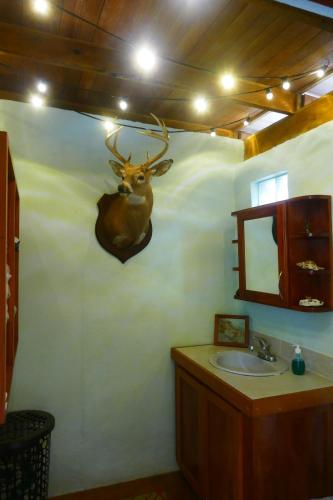 Monkey FallRiverHill Hideaway的浴室墙上有鹿头
