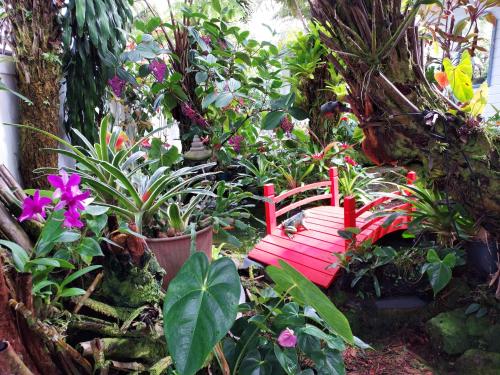 希洛Paradise Cottage at Anthurium Hale的种有长凳、鲜花和植物的花园