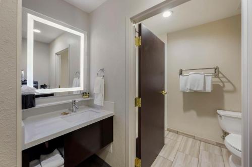 纳什维尔贝斯特韦斯特PLUS纳什维尔机场酒店 - BNA的一间带水槽、卫生间和镜子的浴室